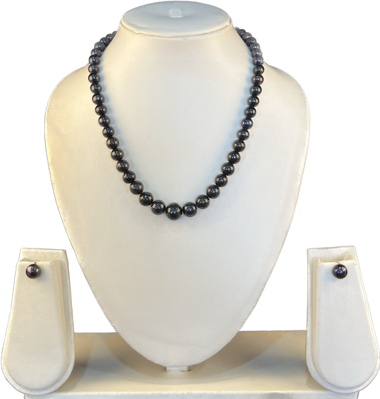 Katherene - Resplendent "Black Beauty" 10 mm to 4 mm Gradation Pearls Necklace Set
